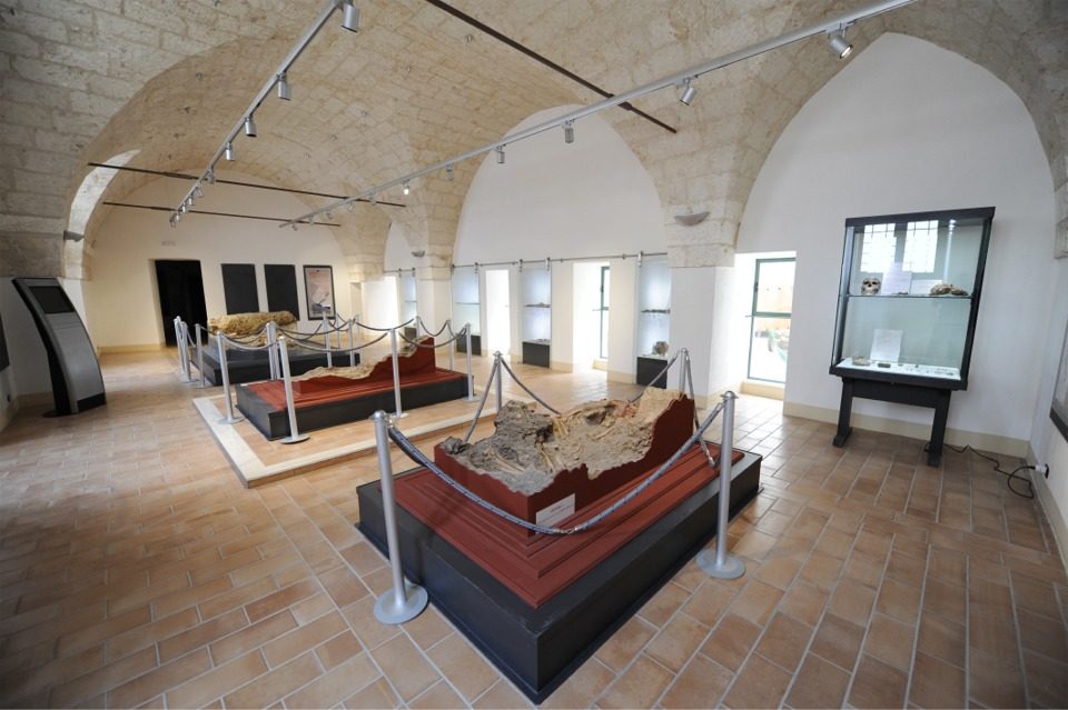 Il Museo Civico