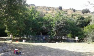 l'area del parco d'agnanointeressata dagli scavi archeologici