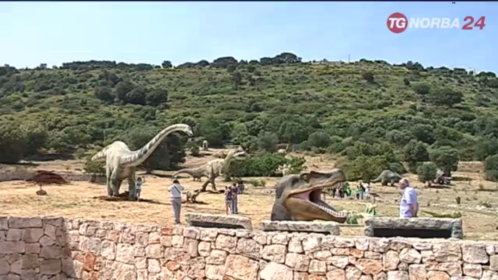 https://www.ostunimuseo.it/gallery/2017/DinOstuni.mp4