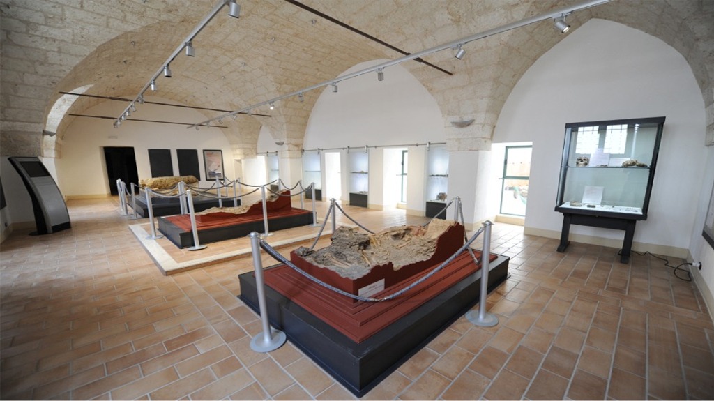 Museo Civico Archeologico